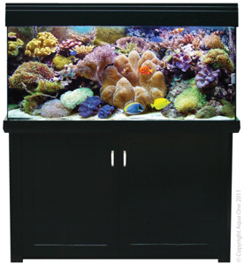 Picture of Living Reef 400 UPGRADED
