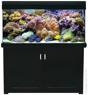 Picture of Living Reef 400 UPGRADED