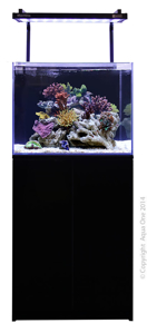 Picture of AquaOne Mini Reef 120 Black *OUT OF STOCK*