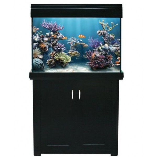 Living Reef 300