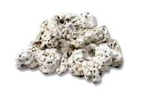 Picture of Coral Reef Rock Natural