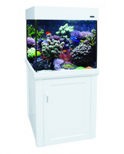 Living Reef 275 ReefA WHITE