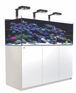 Picture of Red Sea Reefer XL 525 Deluxe White