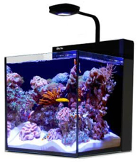 Picture of Red Sea MAX Nano Cube 75 liter *PRE ORDER*