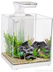 Picture of Aqua One Betta Sanctuary White