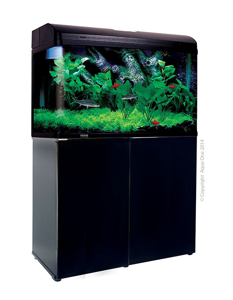 Picture of Aqua One AquaStyle AR980 Gloss Black SALE!