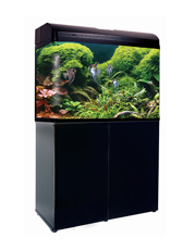 Picture of Aqua One AR980T AquaStyle Gloss Black SALE!