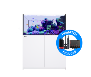 Picture of Red Sea Reefer Peninsula G3 500 White *PRE ORDER*