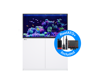 Picture of Red Sea Reefer  S-550  G2+  White *PRE ORDER*