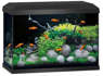 Picture of Juwel Primo 70 2.0 Black Aquarium *OUT OF STOCK*