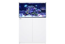 Picture of Red Sea Reefer  250  G3 White     *IN STOCK*
